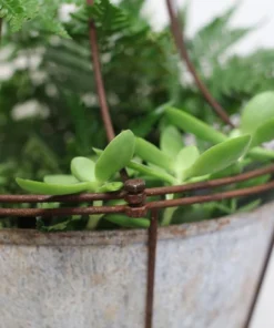 Nkuku Planters & Vases Abari Caged Hanging Planter