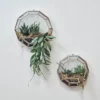 Nkuku Api Wall Hung Planter - Round Home Accessories