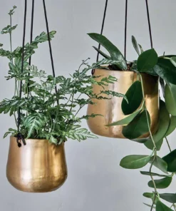 Nkuku Home Accessories Atsu Brass Hanging Planter