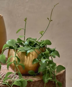 Nkuku Atsu Brass Planter