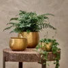 Nkuku Atsu Brass Planter
