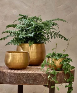Nkuku Atsu Brass Planter