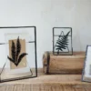 Nkuku Danta Antique Black Frame