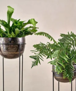 Nkuku Home Accessories Endo Reclaimed Iron Planter Stand