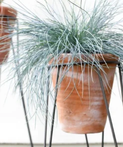 Nkuku Jara Terracotta Planter With Stand Home Accessories