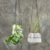 Nkuku Matamba Ceramic Hanging Planter - Match