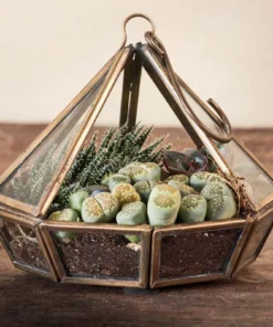 Nkuku Home Accessories Mina Hanging Terrarium