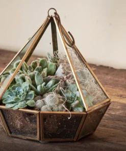 Nkuku Home Accessories Mina Hanging Terrarium