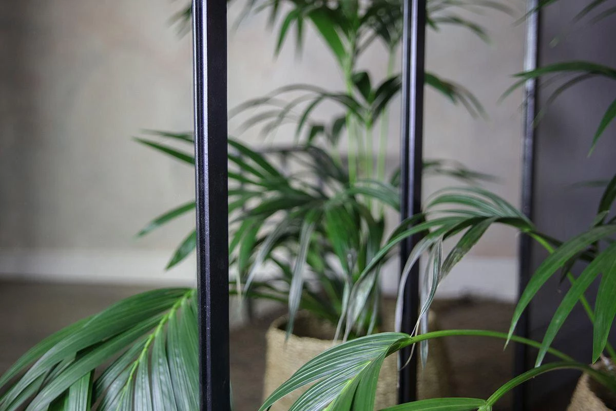 Nkuku Murzu Full Length Iron Mirror 4 Nkuku Murzu Full Length Iron Mirror