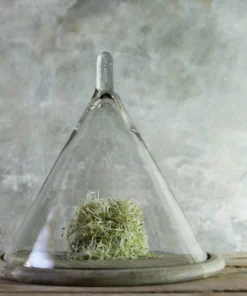 Nkuku Serveware Recycled Glass Conical Dome