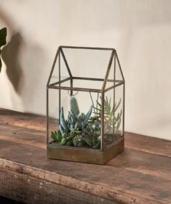 Nkuku Sampara Terrarium - Tall Planters & Vases