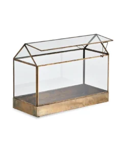 Nkuku Sampara Terrarium - Wide
