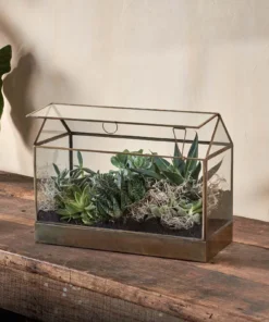 Nkuku Sampara Terrarium - Wide