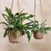 Nkuku Sangdi Seagrass Hanging Planter 1 Nkuku Sangdi Seagrass Hanging Planter