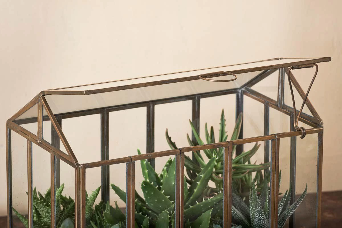 Nkuku Home Accessories Telaga Terrarium - Large 5 Nkuku Home Accessories Telaga Terrarium - Large