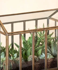 Nkuku Home Accessories Telaga Terrarium - Small 11 Nkuku Home Accessories Telaga Terrarium - Small