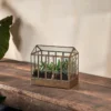 Nkuku Home Accessories Telaga Terrarium - Small