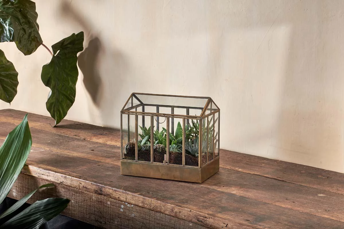 Nkuku Home Accessories Telaga Terrarium - Small 3 Nkuku Home Accessories Telaga Terrarium - Small