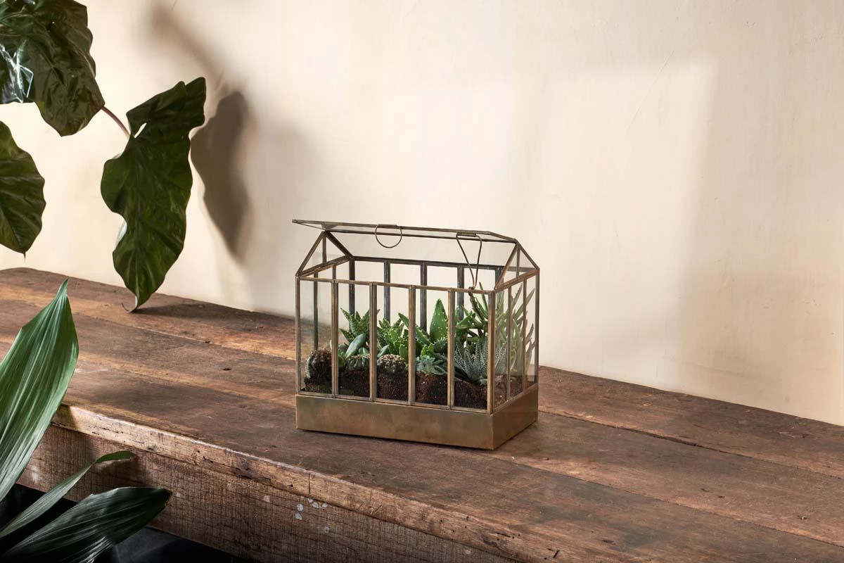 Nkuku Home Accessories Telaga Terrarium - Small 4 Nkuku Home Accessories Telaga Terrarium - Small