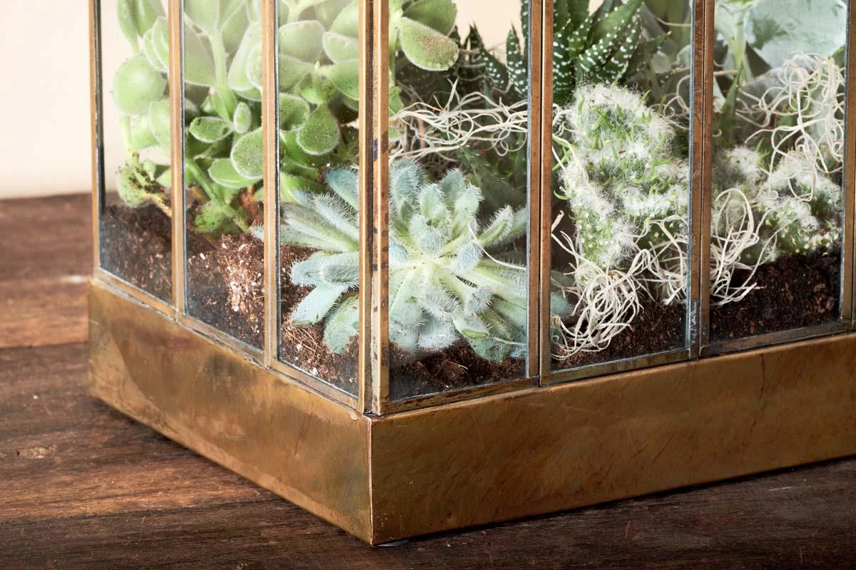 Nkuku Home Accessories Telaga Terrarium - Small 6 Nkuku Home Accessories Telaga Terrarium - Small