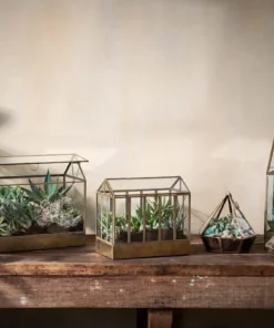 Nkuku Home Accessories Telaga Terrarium - Small 13 Nkuku Home Accessories Telaga Terrarium - Small