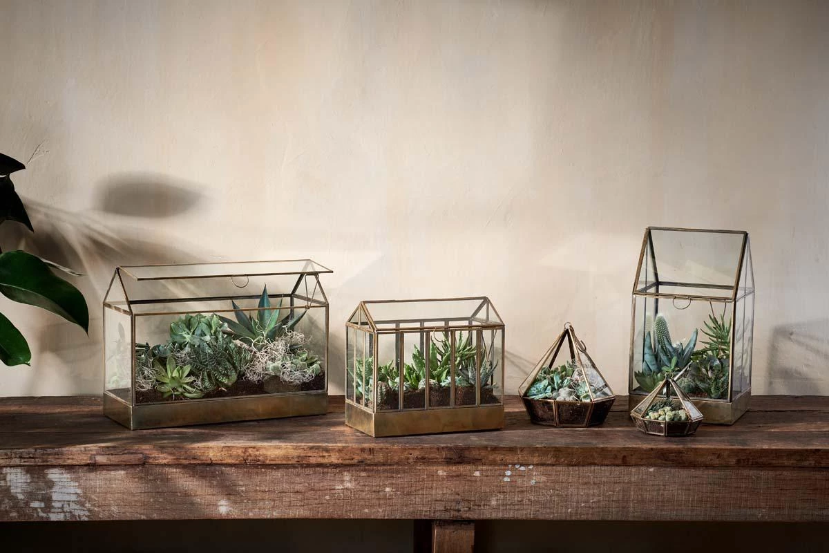 Nkuku Home Accessories Telaga Terrarium - Small 7 Nkuku Home Accessories Telaga Terrarium - Small