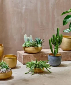 Nkuku Tembesi Etched Planter - Antique Black & Brass