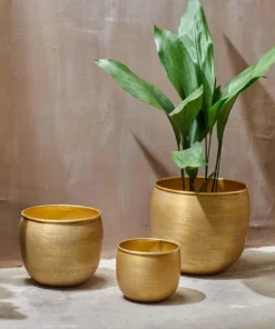 Nkuku Home Accessories Tembesi Etched Planter - Antique Brass