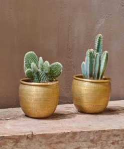Nkuku Tembesi Etched Planter - Antique Brass (Set Of 2)