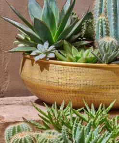 Nkuku Home Accessories Tembesi Etched Round Planter Bowl