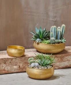 Nkuku Home Accessories Tembesi Etched Round Planter Bowl