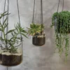 Nkuku Viri Hanging Planter - Clear Home Accessories