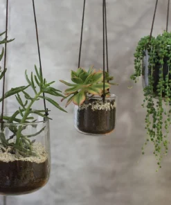 Nkuku Viri Hanging Planter - Clear Home Accessories