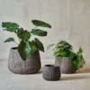 Nkuku Wampu Wide Planter - Distressed Brown / Black Planters & Vases
