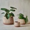Nkuku Wampu Wide Planter - Distressed Terracotta Planters & Vases