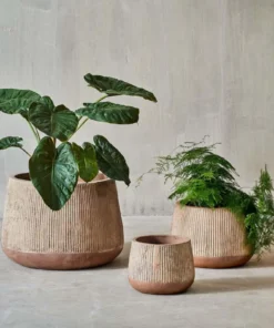 Nkuku Wampu Wide Planter - Distressed Terracotta Planters & Vases